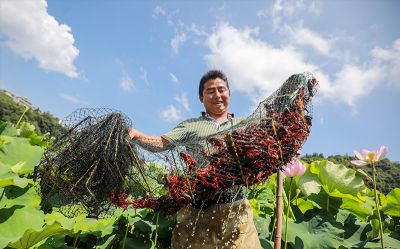 被授予湖北省农业产业化重点龙头企业